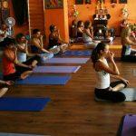 Multi Style Yoga Teacher Training India